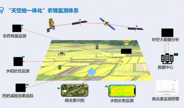 &#31859;&#20848;&#23448;&#26041;&#32593;&#39029;&#29256;&#45;&#31859;&#20848;&#77;&#105;&#76;&#97;&#110;&#40;&#20013;&#22269;&#41;