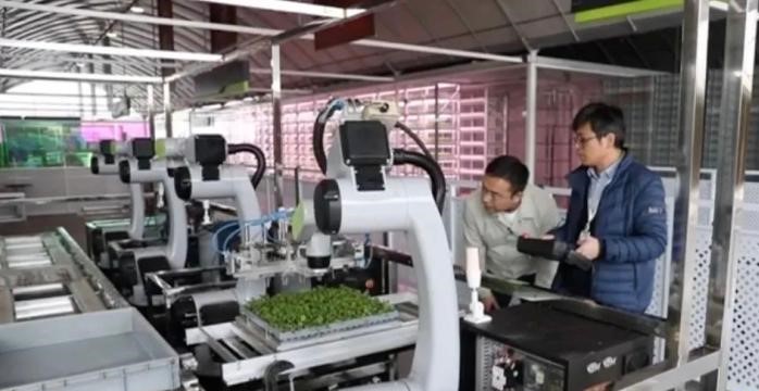&#31859;&#20848;&#23448;&#26041;&#32593;&#39029;&#29256;&#45;&#31859;&#20848;&#77;&#105;&#76;&#97;&#110;&#40;&#20013;&#22269;&#41;